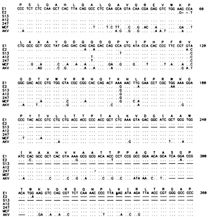 FIG. 2.ofthethymomaendofDots clones the Sequence comparison of the pol region. The DNA sequences and predicted amino acid sequence for 360 nucleotides from the 3' of the pol gene open reading frame of endogenous transcript clone El are shown