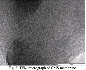 Fig. 7. Morphology of CMS membrane; (a) cross section (b) surface. 