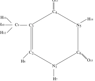 Fig 1: Molecular structure of Thymine 