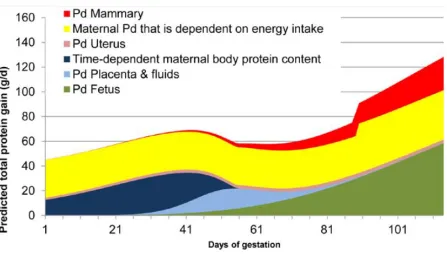 Figure 1.7 Total protein gain of maternal protein pools in a hypothetical second-parity sow over the course of gestation