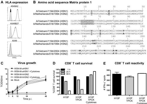 FIG 1 Optimizing inﬂuenza virus-infected target cell–CD8lymphocytes after 1, 24, and 48 h of culture under various medium conditions