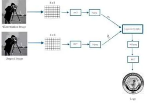 Figure 3 Extraction process 