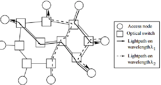 Fig. 1.5: a wavelength-routed optical network with lightpath connections [17]
