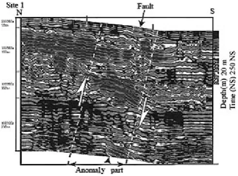 Figure 6.  Compound profile of site 1 shows North Ray fault and bended zone   anomaly part is fault zone
