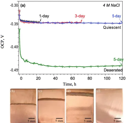 Figure 1: (a) OCP profiles of the copper samples during waterline immersion tests in 4 M NaCl  solutions