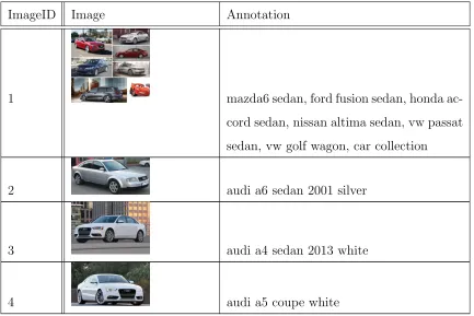TABLE 1: Images with Annotation.