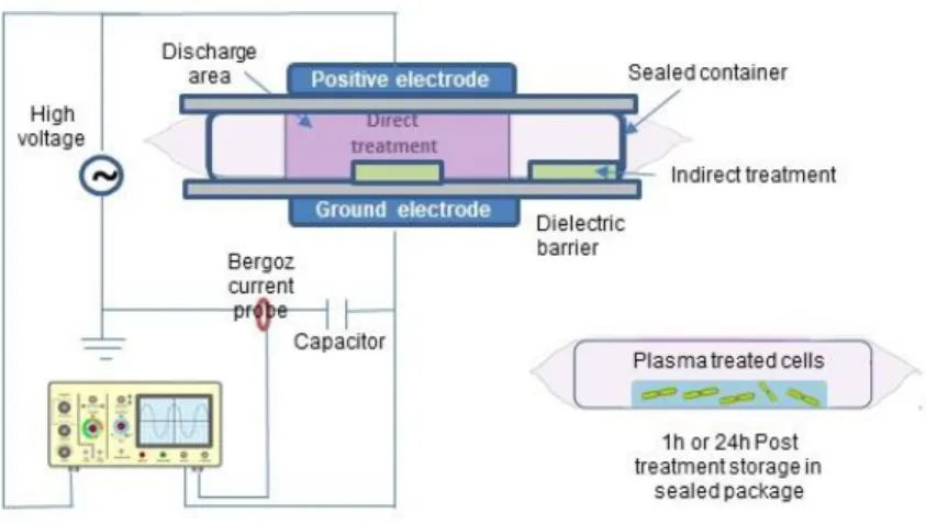Figure 2.1: Schematic of the experimental setup of the DBD-120 ACP plasma system 