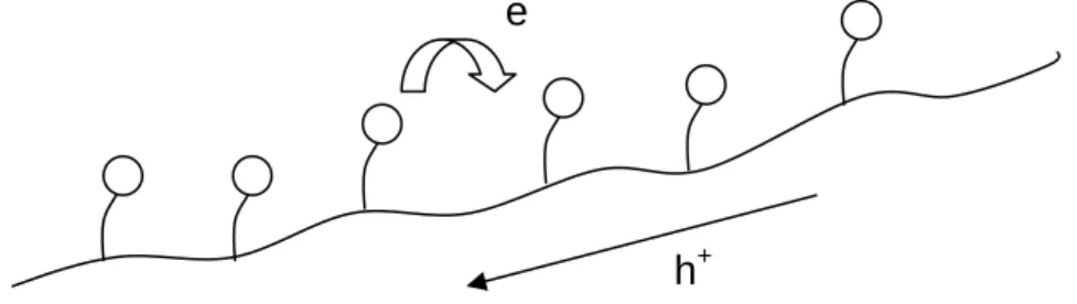 Figure 6. Schematic representation of ‘double cable’ polymers. The charge carriers generated by  photoinduced charge transfer can be in principle transported within one molecule, therefore 
