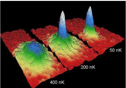 Figure 2: False–color images of the velocity distribution of an ultracold 87 Rb cloud obtained by absorption imaging