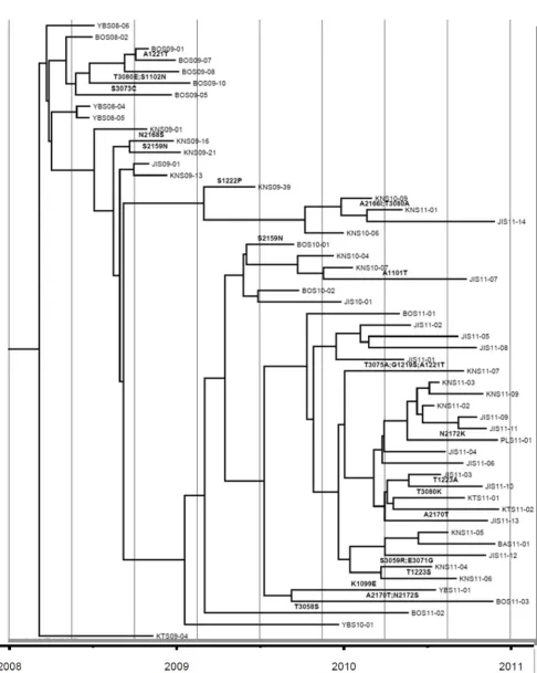 FIG 1 (Continued)