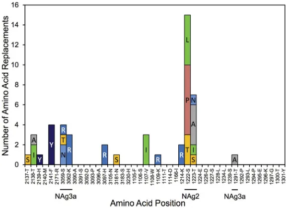 TABLE 1 Amino acid replacements by capsid functional domain