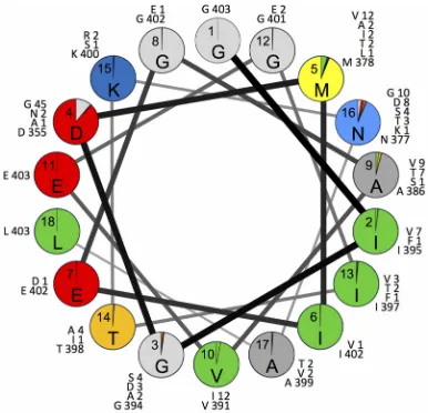 FIG 4 Proportions of isolates with Sabin 2 amino acid residues (shown inside each circle) or replacementresidues (colored sectors) in the helix wheel of hypervariable positions 1001 to 1018