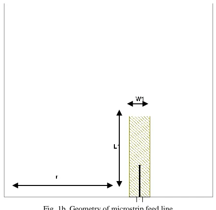 Fig. 1b. Geometry of microstrip feed line For array technique, the minimum distance between the 
