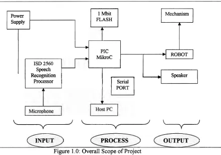 Figure 1 .O: Overall Scope of Project 