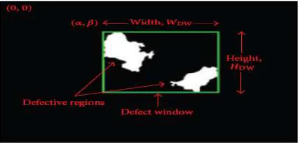 Figure 4: Terminology adopted  