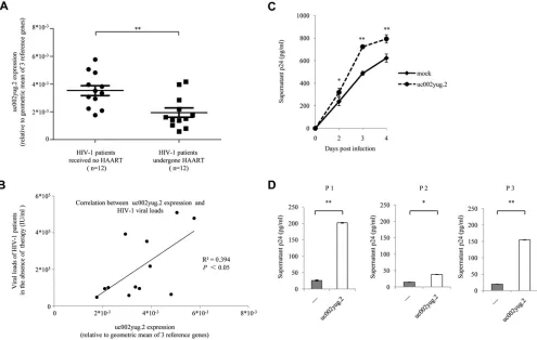 TABLE 1 Characteristics of HIV-1-infected patients in this study