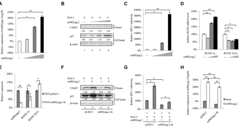 FIG 1 uc002yug.2 enhances HIV-1 replication. (A to D) uc002yug.2 overexpression enhances HIV-1 replication in HeLa cells