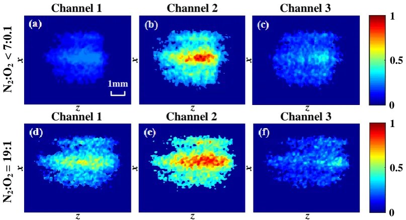 Fig. 5. Normalized fluorescent intensity images captured by the three channels of the 