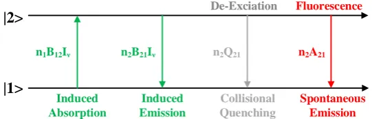 Fig. 1. Different transitions that are included in the two-state model. 