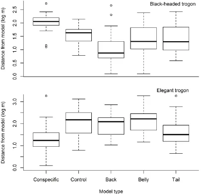 Figure 3. 3 Black-headed trogons approached ‘Conspecific’ models less than any other model type, and elegant trogons approached ‘Conspecific’ models more than all but the ‘Tail’ models (see Methods and Results for more details)