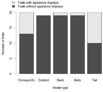 Figure 3. 4 Elegant trogons performed more tail raises when presented with models resembling conspecifics and models for which only the tail was modified, than when presented with other model types