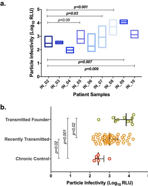 FIG 1 Relative infectious potential of chimeric viruses on a per-infectious-particle basis