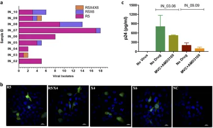 FIG 2 Coreceptor tropism and viral entry. The expression of luciferase upon infection with GHOST(3) cells (CXCR4represents the number of viral isolates that were identiﬁed as R5-, R5X4-, and R5X4X6-tropic based on the coreceptors used for viral entry.(b) C