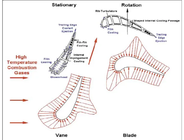 Figure 1.1 (a): Cross-Sectional View of a Cooled Vane and Blade 