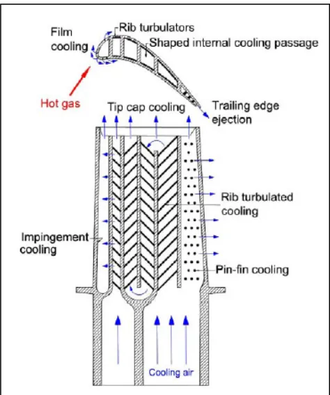 Figure 1.1 (b): Schematic of a Modern Gas Turbine Blade with Common Cooling (Source: http://www.netl.doe) 
