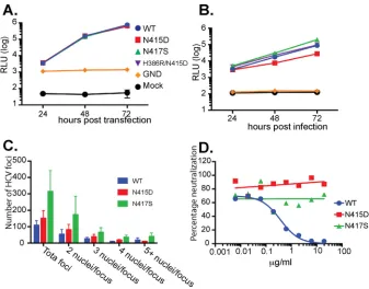FIG 3 Viruses with N415D, N417S, and N415D/H386R mutations are replication competent, infectious, andresistant to MAb24 neutralization