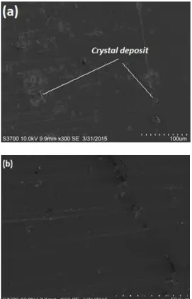 Fig 6. SEM surface image of the eroded sample under seawater condition at  60° 