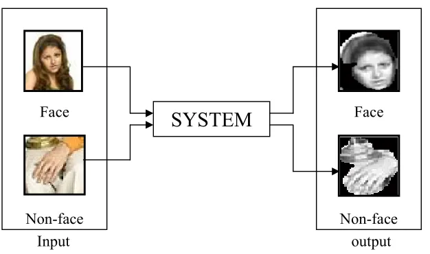 Figure 1.1: General Block Diagram for Face Detection 