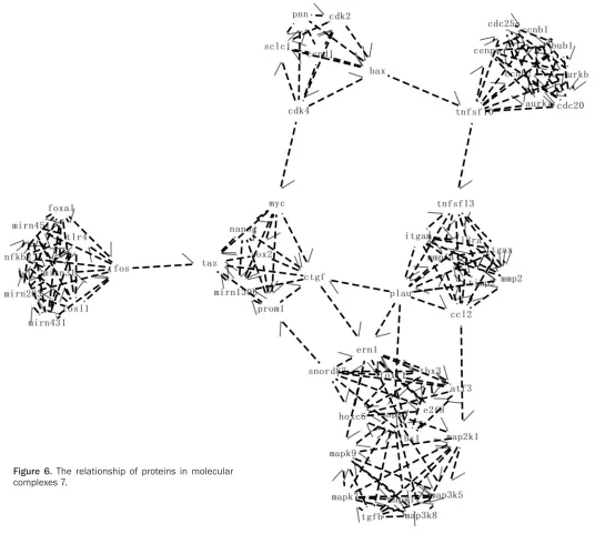 Figure 6. The relationship of proteins in molecular complexes 7.