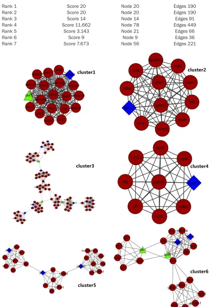 Figure 5. Molecular complexes obtained by MCOMD algorithm analysis.
