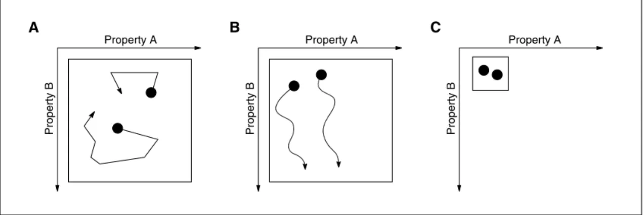 Fig. 2.  Cellular development with respect to properties A and B. Shown are possible trajectories of two cells (P)