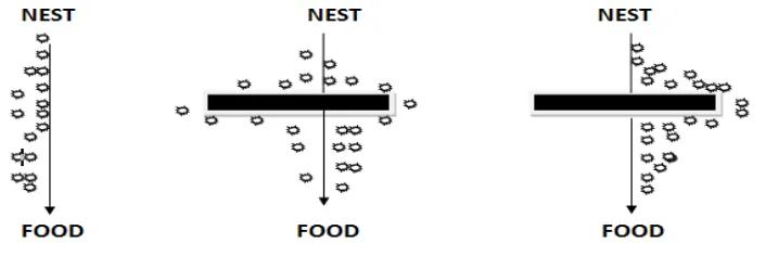 Fig 3.1 The Ant Colony System  