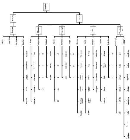 Fig. 1: the analytical structure of criteria 