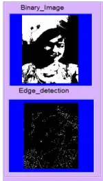 Figure 5.5: Input query image 
