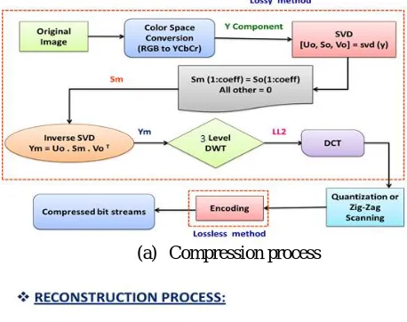Fig shows the Architecture of proposed system. Fig a shows the compression process  and fig b shows the reconstruction process