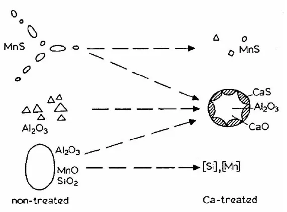 Figure 2-6 Schematic illustration of the effect of Ca-treatment on inclusions in  steel, figure reference is cited in reference [55]