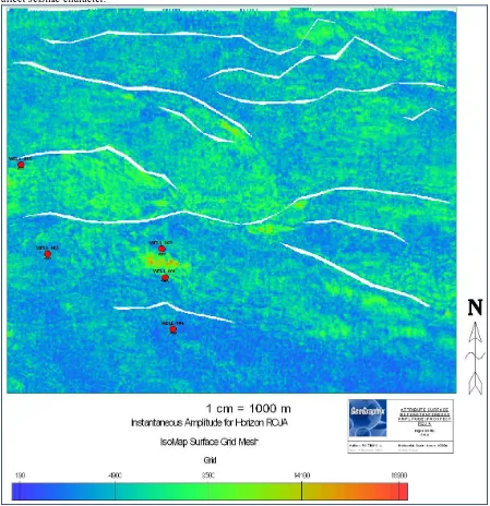 Fig. 10. Instantaneous amplitude map for horizon ROJ A with fault polygons  