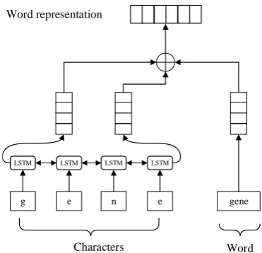 Figure 3: Word representation of a word ‘gene’. Weconcatenate the outputs of character embedding fromLSTM and word embedding to obtain its ﬁnal wordrepresentation.