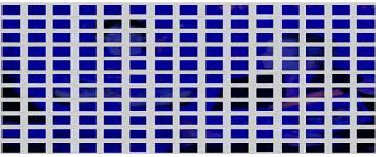 Figure 3 : Input image 