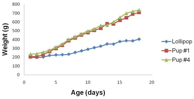 Figure 4:   Representative daily weight gain of normal littermates vs. a GSD Ia affected dog