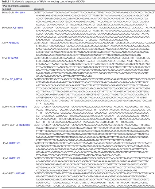 TABLE 1 Nucleotide sequences of HPyV noncoding control region (NCCR)a