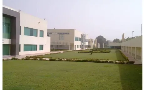 Fig. 7. Green Areas in Effat University Use Recycled Water (Source:  Author, 2010) 