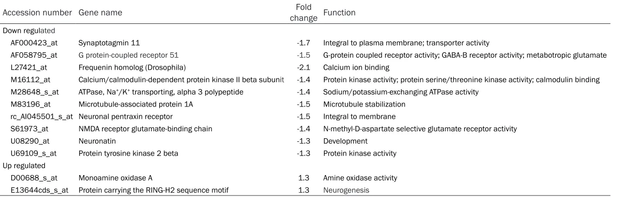 Table 2. Changes in gene expression after MRI exposure