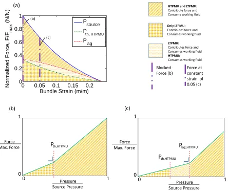 Figure 25: a) PVR bundle normalized force and strain for applied pressure of Psource, Pth,HTPM, and Plag