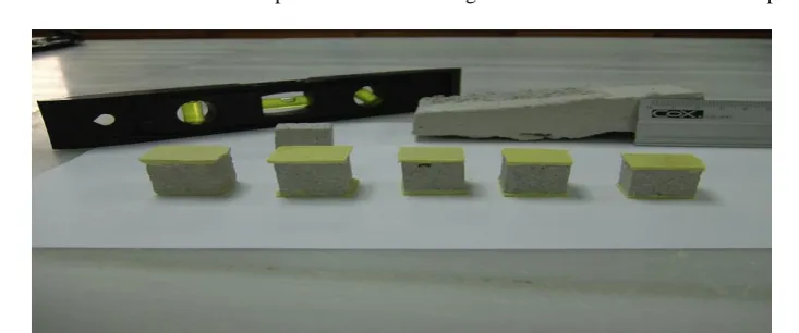 Figure (1)- Cubic micro cores of mortar capped with sulfur used in (Alejandre) experiment  [18]