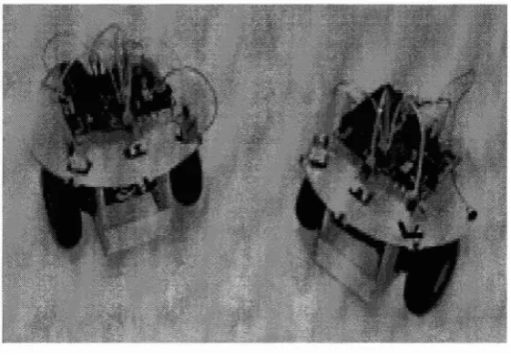 Figure 2.1 : The Lemmings 